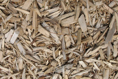 biomass boilers Bullamoor